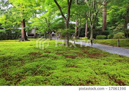 Sanzenin Temple 17061398