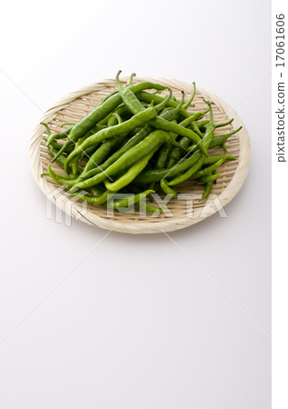 Sweet long bean sprout Sweet long bean sprout 17061606