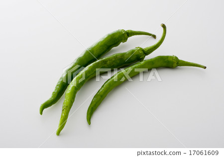 Sweet long bean sprout Sweet long bean sprout 17061609