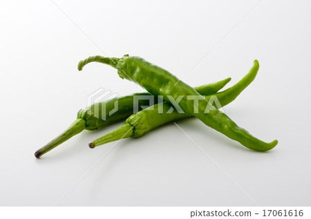 Sweet long bean sprout Sweet long bean sprout 17061616