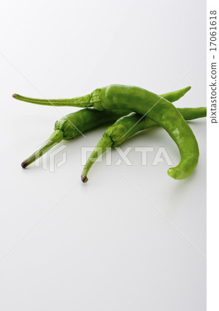 Sweet long bean sprout Sweet long bean sprout 17061618