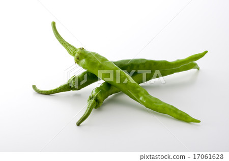 Sweet long bean sprout Sweet long bean sprout 17061628