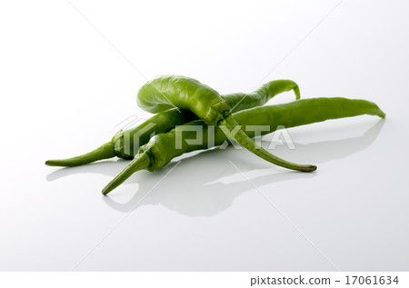 Sweet long bean sprout Sweet long bean sprout 17061634