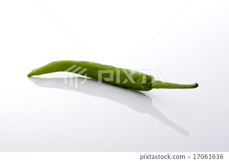 Sweet long bean sprout 17061636