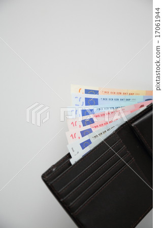 歐元和錢包 17061944