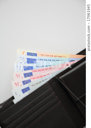 歐元和錢包 17061945