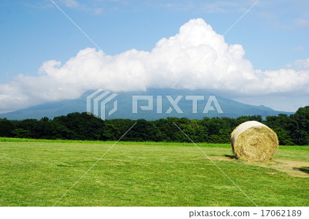 Grass roll Grass roll 17062189