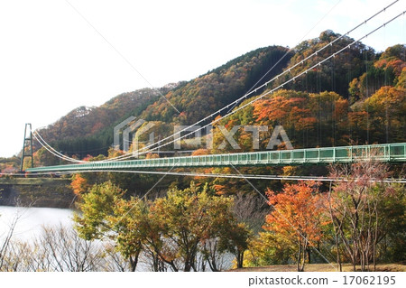 Momiji Valley Big Suspension Bridge in Autumn Leaves 17062195