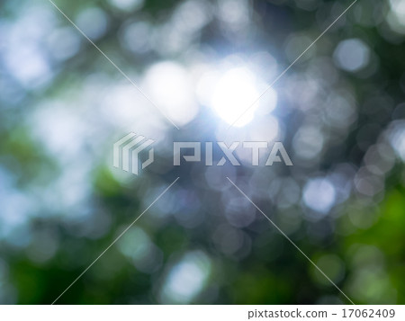 abstract green color bokeh abstract green color bokeh 17062409