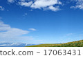 Nikkokishge 17063431