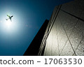 City light 17063530