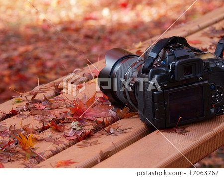 Surrounded by Momige and a day off 17063762