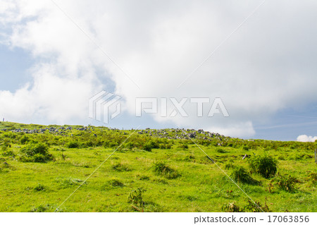 Ehime Prefecture Shikoku Karst the scenery of the fifth plateau 17063856