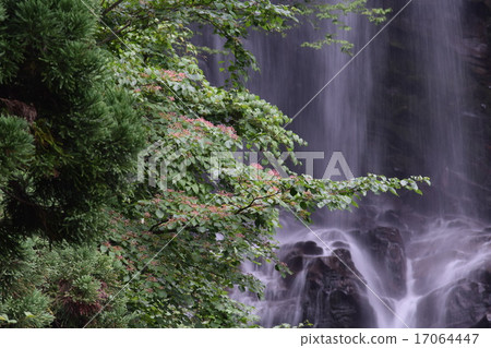 White Falls of Nazo 17064447