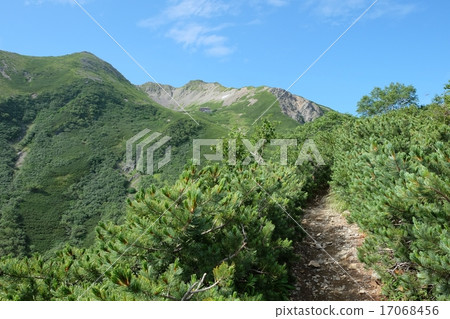山千疊 山千疊 17068456