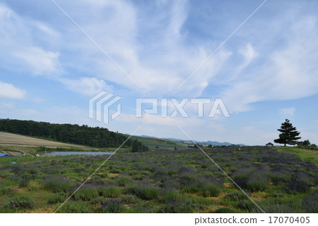 Kan farm Kan farm 17070405