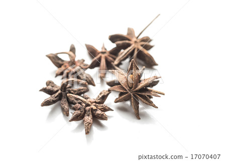Chinese Star Anise 17070407
