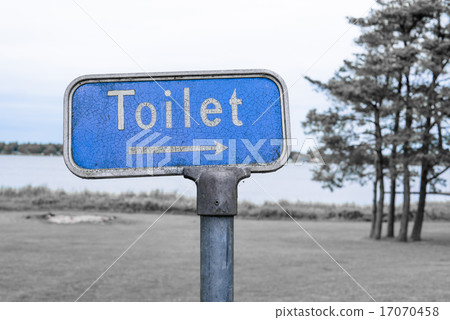 Grunge toilet sign in blue color 17070458