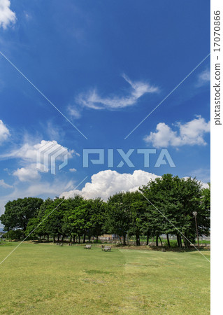 藍天和樹木 藍天和樹木 17070866