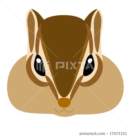 Chipmunk Chipmunk 17073101