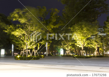 在中野季節森林公園的夜晚 17073298