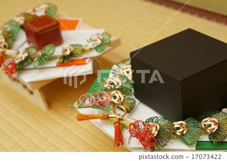 Delivered goods Delivered goods 17073422