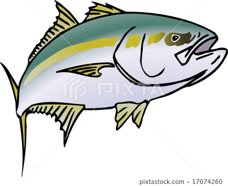 Yellowtail 17074260