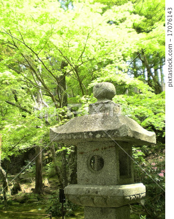石燈籠以新綠色 17076143