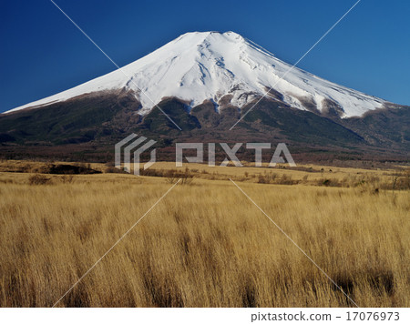 Fuji of Pearkehara 17076973