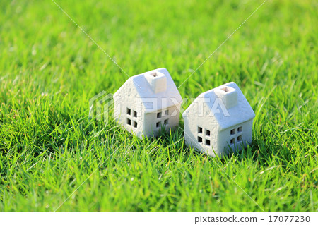 My Home Life My Home Life 17077230