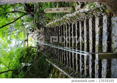 猿丸神社 猿丸神社 17078105