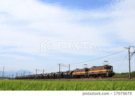 Sanji Railway Freight Train 17078679