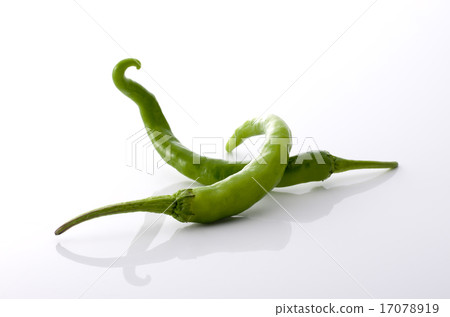 Sweet long bean sprout Sweet long bean sprout 17078919