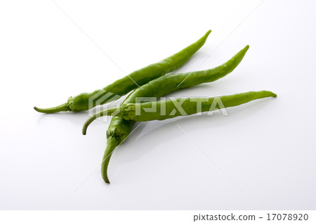 Sweet long bean sprout Sweet long bean sprout 17078920