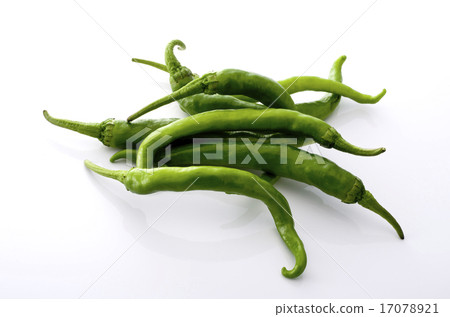 Sweet long bean sprout Sweet long bean sprout 17078921