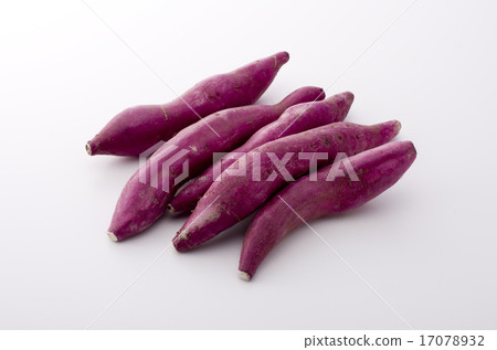 Sweet potato Sweet potato 17078932