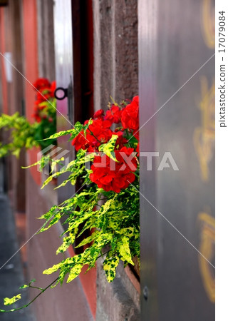 Window Window 17079084