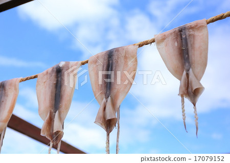 Ajigasawa烤魷魚烏賊sunbaki 17079152