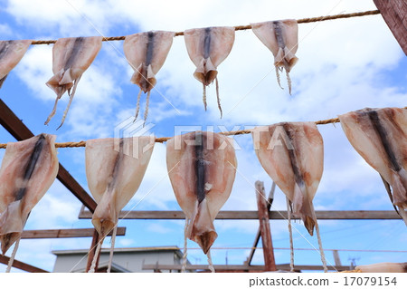 Ajigasawa烤魷魚烏賊sunbaki 17079154