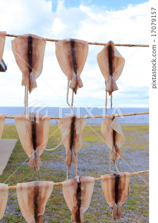 Ajigasawa烤魷魚烏賊sunbaki 17079157