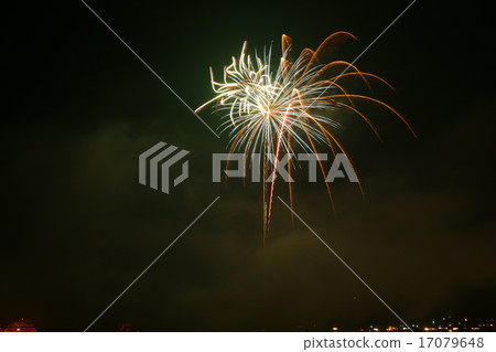 蘆之湖夏季節湖周節 蘆之湖夏季節湖周節 17079648