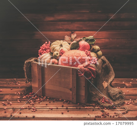 Thanksgiving day autumnal still life 17079995