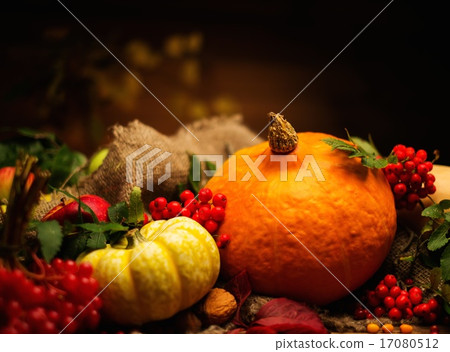 Thanksgiving day autumnal still life 17080512