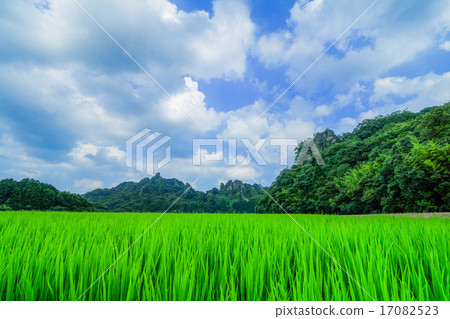 View of Tamususo 17082523