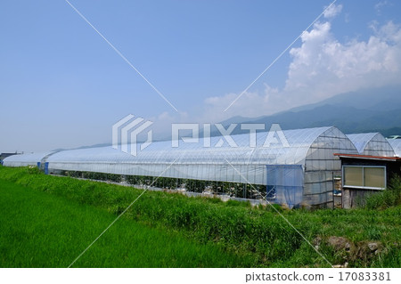 乙烯基的房子 乙烯基的房子 17083381