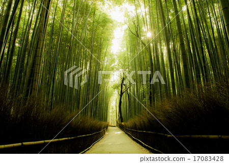 Sightseeing 17083428