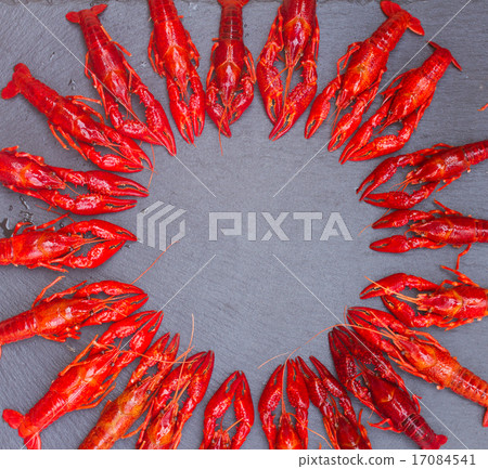 Crayfish Crayfish 17084541