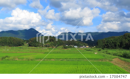 Summer sky and mountains and rice field 17084747