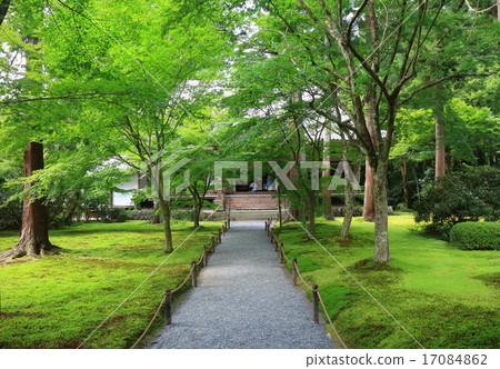 Sanzenin Temple 17084862