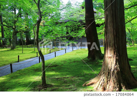 Sansenin Pastry Academy Sansenin Pastry Academy 17084864